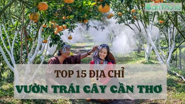 Vườn trái cây Cần Thơ - Top 15 miệt vườn nổi tiếng